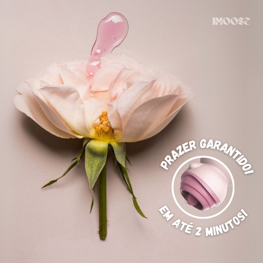 PiggyViber - Prazer Garantido